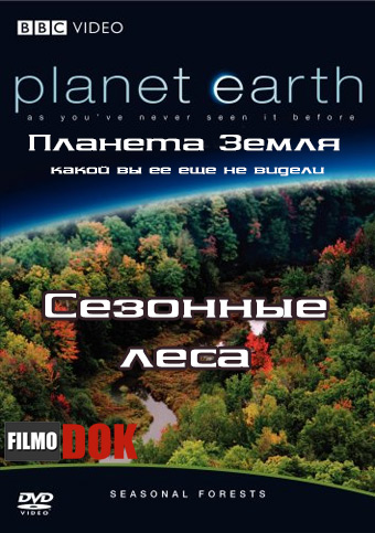 Планета Земля: Сезонные леса / Planet Earth: Seasonal Forests (Эпизод 10, BBC, 2006)