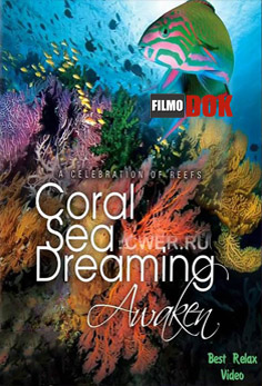Грёзы Кораллового моря. Пробуждение / Coral Sea Dreaming. Awaken (2009, HD720)