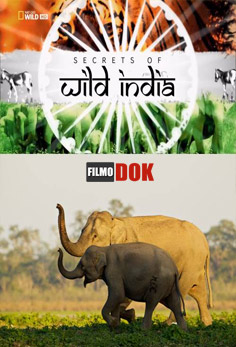 Тайны дикой природы Индии: В царстве слонов / Secrets of Wild India: Elephant Kingdom (2011, HD720, National Geographic)
