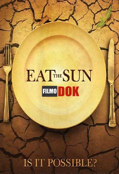Поглоти Солнце / Eat the Sun (2010, HD720)