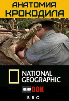 Анатомия крокодила / Crocodile autopsy (2007, HD720, National Geographic)