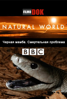 Мир природы Черная мамба. Смертельная проблема / Natural World. Black Mambas (2009, BBC)
