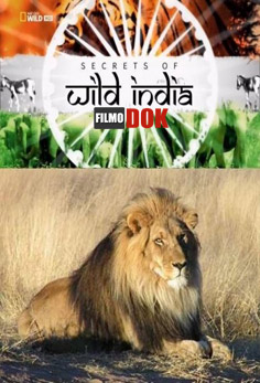 Тайны дикой природы Индии: Львы пустыни / National Geographic. Secrets of Wild India: Desert Lions (2011, HD720, National Geographic)
