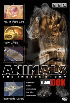 Животные. Взгляд изнутри / Animals. The Inside Story  (3 серии из 3, 2002, HD720, BBC)