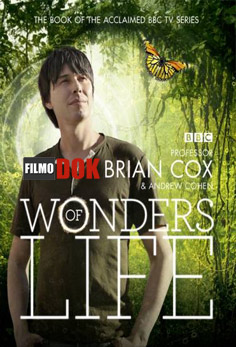 Чудеса жизни / Wonders of Life (1 серия из 5, 2013, HD720, BBC)