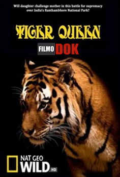 Королева тигров / Tiger Queen (2010, HD720, National Geographic)
