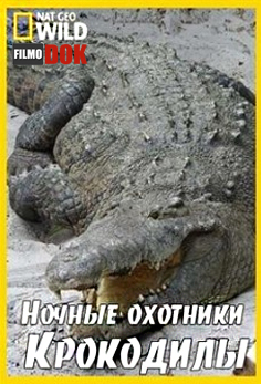 Ночные охотники. Крокодилы / Nightstalkers. Crocodiles (2011, HD720, National Geographic)
