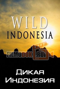 [HD] Дикая природа Индонезии / Wild Indonesia / 2014