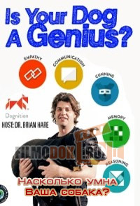 Насколько умна Ваша собака? / Your dog genius? (Is your dog a genius?) / 2014