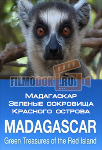 Мадагаскар. Зеленые сокровища Красного острова / Madagascar. Green Treasure of the Red island / 2014