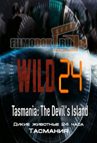 Дикие животные 24 часа. Тасмания Wild 24. Tasmania: The Devil's Island / 2015