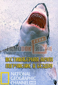 [HD] Шестижаберная акула. Погружение в бездну / National Geographic. Sixgill Shark. Into The Abyss / 2010