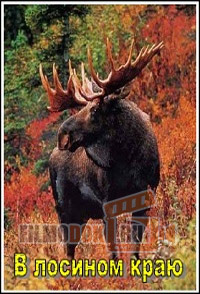 [HD] В лосином краю / In the Land of the Moose / 2010