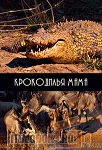 [HD] Крокодилья мама / Mother croc / 2012