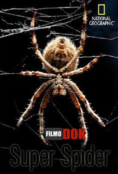 Супер паук / Super Spider (2012, HD720, National Geographic)