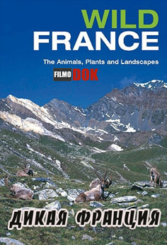 Дикая Франция / Wild France (La France Sauvage) (2012, HD720)