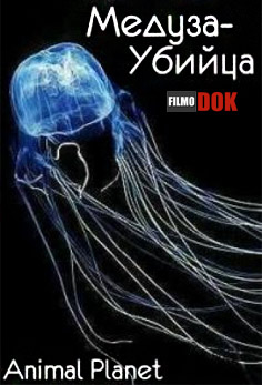 Медуза-Убийца / Animal Planet: Killer Jellyfish (2006, Animal Planet)