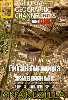 Гиганты мира животных. Самая большая змея / How Big Can It Get? Snakezilla (2011, HD720, National Geographic)