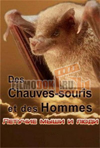 [HD] Летучие мыши и люди / Des Chauves-souris et des Hommes / 2009