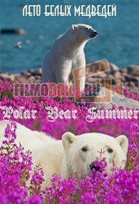 Лето белых медведей / Polar Bear Summer / 2015
