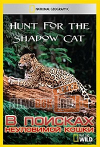 [HD] В поисках неуловимой кошки / Hunt for the Shadow Cat / 2011