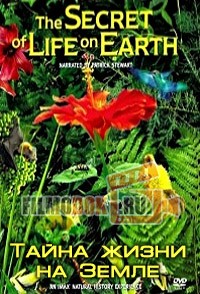 [HD] Тайна жизни на Земле / The Secret Of Life On Earth / 1993