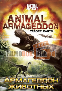 [HD] Армагеддон животных / Animal Armageddon / 2009