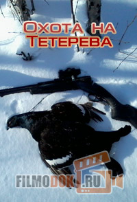 Охота на Тетерева / 2006