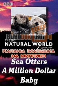 Мир природы. Каланы. Малышка на миллион / Natural World. Sea Otters. A Million Dollar Baby / 2010