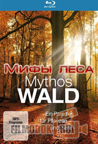 [HD] Мифы леса / Mythos Wald / 2009