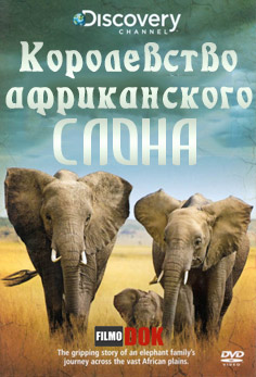 Королевство африканского слона / Africa's Elephant Kingdom (1998, HD720, Discovery)