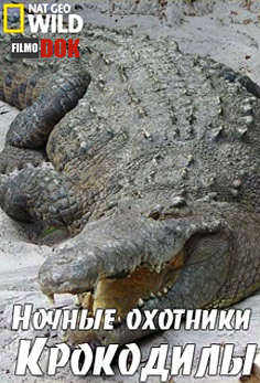 Ночные охотники. Крокодилы / Nightstalkers. Crocodiles (2011, HD720, National Geographic)