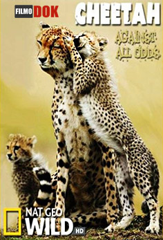 Гепарды - Наперекор всему / Cheetah - Against All Odds (2008, HD720, National Geographic)