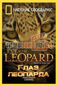 [HD] Глаз леопарда / Eye of the Leopard / 2006