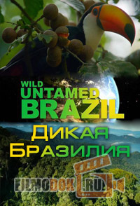 [HD] Дикая Бразилия / Wild Untamed Brazil / 2014