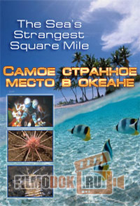 [HD] Самое странное место в океане / The Sea's Strangest Square Mile / 2011