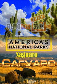 Национальные парки Америки. Сагуаро / America's National Parks. Saguaro / 2015