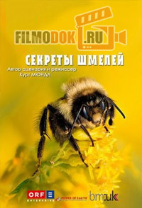 [HD] Секреты шмелей / Secrets of bumblebees / 2013