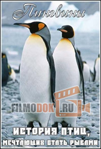 [HD] Пингвины. История птиц, мечтающих стать рыбами / Penguins. The story of the birds that wanted to be fish / 2007