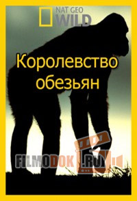 [HD] Королевство обезьян / Wild Kingdom Of The Apes / 2014