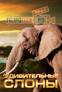 [HD] Удивительные слоны (Душа гиганта) / Soul of the Elephant / 2015