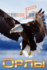 [HD] Орлы / The Eagles / 2014