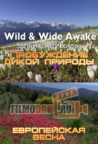 [HD] Пробуждение дикой природы - европейская весна / Wild & Wide Awake - Spring Across Europe / 2015