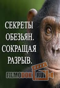 [HD] Секреты обезьян. Сокращая разрыв / 2013