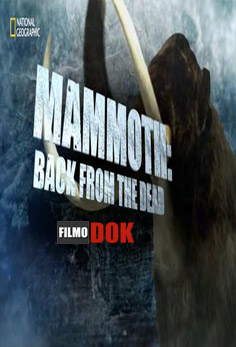 Мамонт: Воскрешение из мертвых / Mammoth: Back from the Dead (2013, HD720, National Geographic)