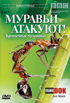 Муравьи атакуют / Ant Attack (2006, HD720, BBC)