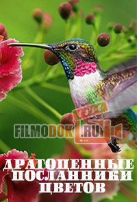 [HD] Драгоценные посланники цветов / 2012