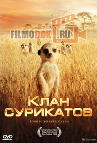 Клан сурикатов / Clan of the meerkat / 2010