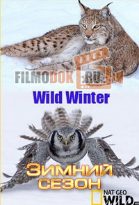 [HD] Зимний сезон / Wild Winter / 2016