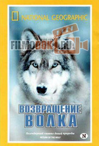 Возвращение волка / Return of the Wolf / 1999